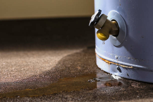 Best Basement water damage restoration  in Salina, KS