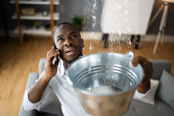 Best Water damage mitigation services  in Salina, KS