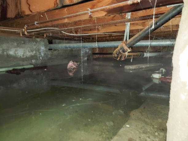Best Flood damage cleanup  in Salina, KS