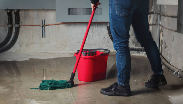 Best Ceiling water damage repair  in Salina, KS
