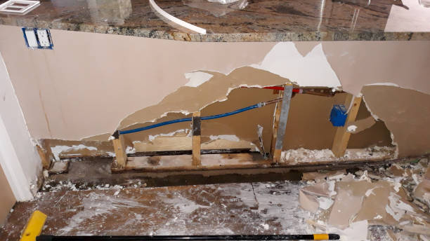 Best Mold removal after water damage  in Salina, KS