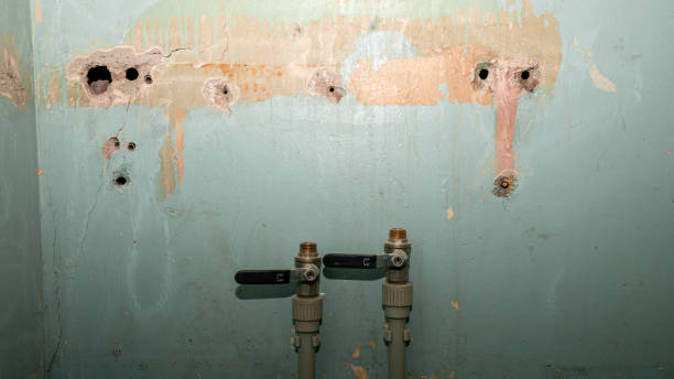Best Professional water damage repair  in Salina, KS