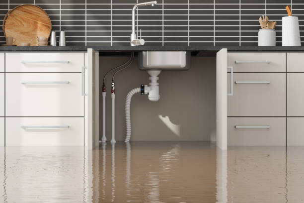 Best Mold removal after water damage  in Salina, KS