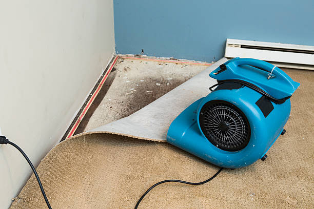 Best Emergency water damage restoration  in Salina, KS